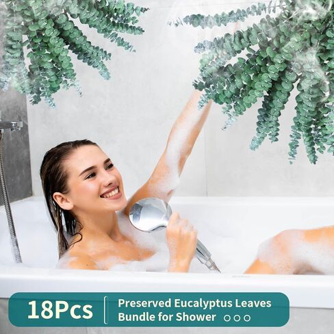 38 قطعة من سيقان الأوكالبتوس المجففة للاستحمام - 17 بوصة نبات دش الأوكالبتوس المحفوظ الحقيقي، فروع الأوكالبتوس الطازجة تترك النباتات الخضراء معلقة، ترتيب الزهور، الزفاف، المنتجعات الصحية المنزلية، حشو المزهرية in Kuwait