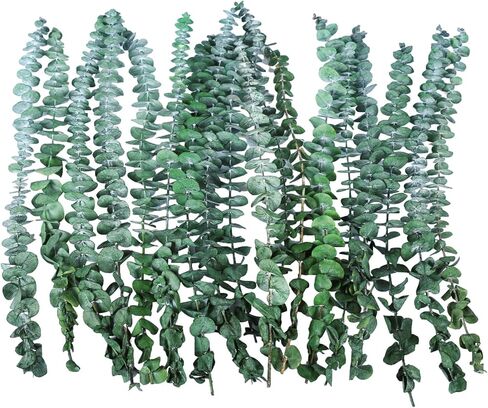 38 قطعة من سيقان الأوكالبتوس المجففة للاستحمام - 17 بوصة نبات دش الأوكالبتوس المحفوظ الحقيقي، فروع الأوكالبتوس الطازجة تترك النباتات الخضراء معلقة، ترتيب الزهور، الزفاف، المنتجعات الصحية المنزلية، حشو المزهرية in Kuwait