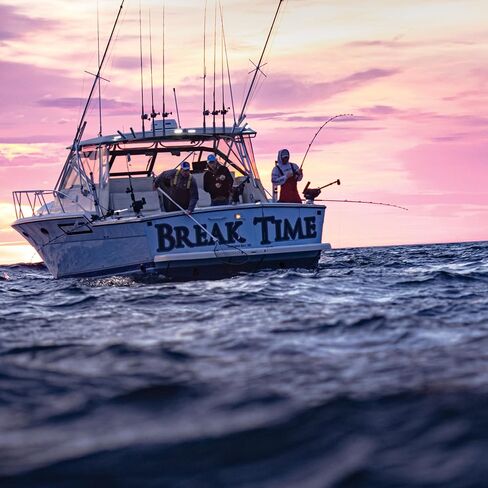 قاعدة ألومنيوم cannon ثابت يزوده بقاعدة التركيب in Kuwait