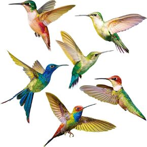 18 Pieces Large Size Hummingbird Window Clings Anti-Collision Window Clings Decals to Prevent Bird Strikes on Window Glass Non Adhesive Vinyl Cling Hummingbird Stickers in Kuwait