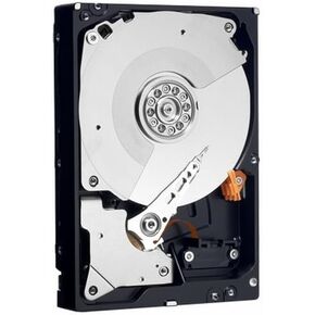 Western Digital 750 GB RE3 SATA 7200 RPM 32 MB Cache Bulk/OEM Enterprise Hard Drive WD7502ABYS (Renewed)