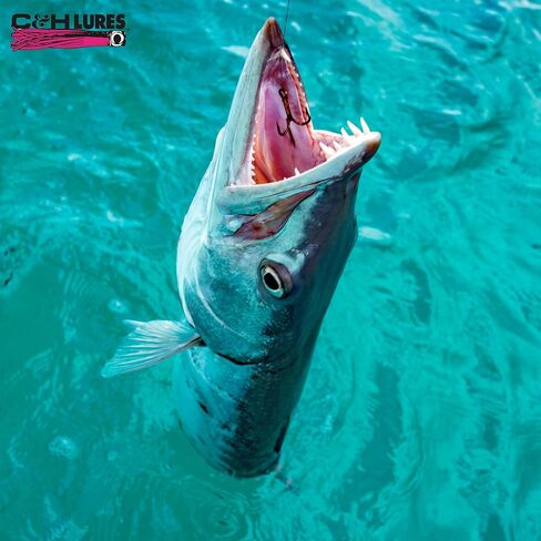 C&H, King Buster Lure, Clear Silver Fleck/Pearl Skirt, 1/8 oz / 3.5 g Head, 2.5 in / 6.35 cm, 3 pc in Saudi Arabia