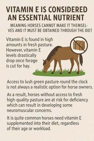 فيتامين هـ 5000 (7.5 رطل) فيتامين هـ المحبب للخيول ... in Kuwait
