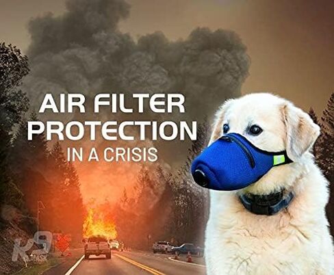 قناع فلتر الهواء K9 Mask® للكلاب مع عبوات فلتر الهواء الممتازة PM2.5 "التنفس الشديد" - أزرق (كبير) in Kuwait