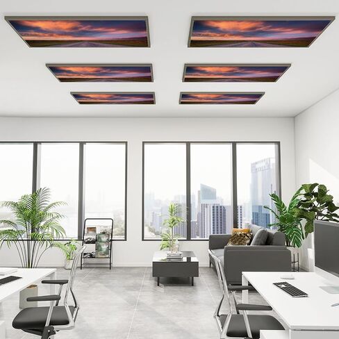 6 Pack Fluorescent Light Covers for Ceiling Lights Storm Clouds Prairies Saskatchewan Decorative Magnetic Fluorescent Light Filters for Classroom Office Home 4x2 ft in Kuwait