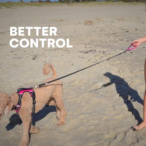 Black Rhino – Dog Leash Adjustable Length (3-5 Feet) with Soft Neoprene Padded Handle | Heavy Duty Lead for Easy Control | Small Medium Large Breeds | Reflective Stitching (Aqua/Grey) in Kuwait