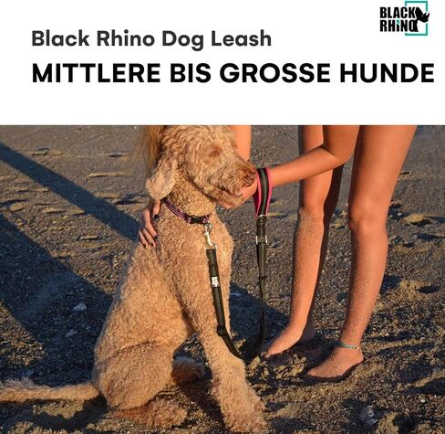 Black Rhino – Dog Leash Adjustable Length (3-5 Feet) with Soft Neoprene Padded Handle | Heavy Duty Lead for Easy Control | Small Medium Large Breeds | Reflective Stitching (Aqua/Grey) in Kuwait