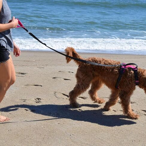 Black Rhino – Dog Leash Adjustable Length (3-5 Feet) with Soft Neoprene Padded Handle | Heavy Duty Lead for Easy Control | Small Medium Large Breeds | Reflective Stitching (Aqua/Grey) in Kuwait