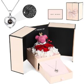 Valentine's Day Luxury Gift Set with LED-Lit Pink Moss Bear Holding Eternal Red Roses, 100 Languages I Love You Necklace, Elegant Card & Jewelry Box - Perfect for Wife, Mother, Girlfriend