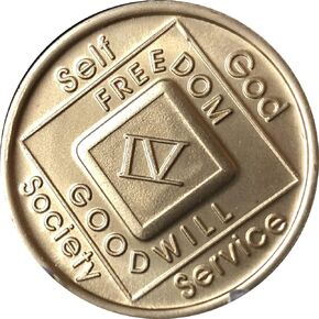 1 Year NA Medallion Official Narcotics Anonymous Bronze Chip