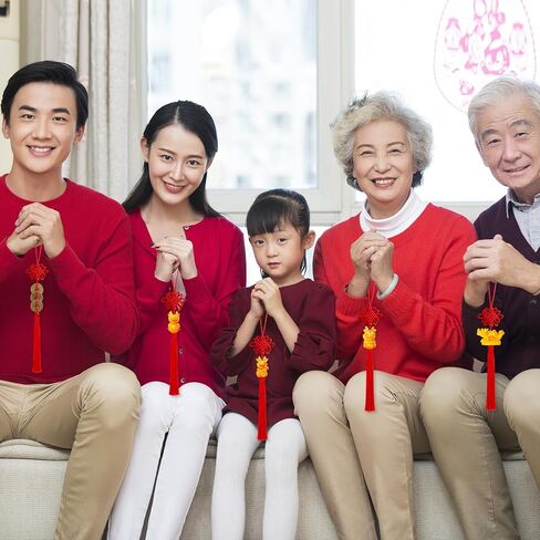 24 Pieces Lunar New Year Tassels Chinese Knot Tassel Chinese New Year Dragon Tassel Ornaments Chinese New Year Feng Shui Tassel Decorations for Home Decoration (Dragon B) in Kuwait