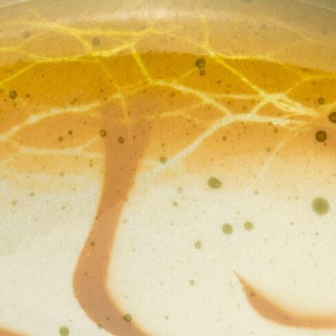 Strike King Gravel Dawg 8 Crankbait in Kuwait