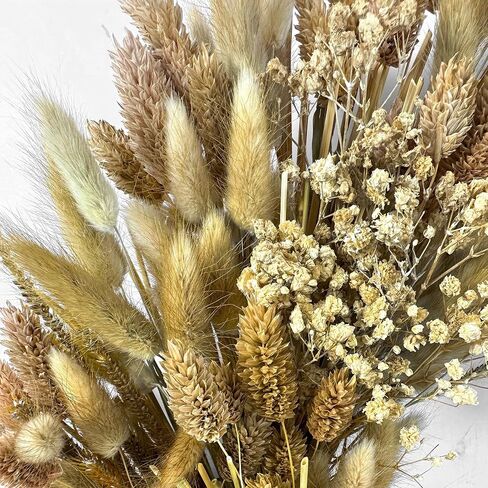 Galt International Natural Woven Weeping Willow Rattan Ring Wreath 21.7" Neutral Tone Home Decor Christmas Fall Harvest Thansgiving Wreath for Front Door in Saudi Arabia