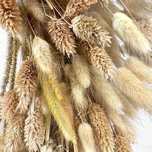 Galt International Natural Woven Weeping Willow Rattan Ring Wreath 21.7" Neutral Tone Home Decor Christmas Fall Harvest Thansgiving Wreath for Front Door in Saudi Arabia