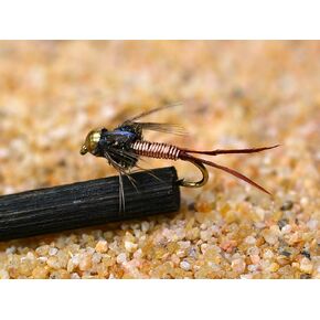12 Flies - Copper John Bead Head Nymph Fishing Fly Tied on Mustad Signature Fly Hooks
