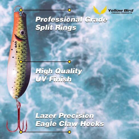 Doctor Spoon 4 Pack Premium Ultra Violet Fishing Spoons - Featuring Innovative Image and Ultra Violet Finish Technology - Great for Jigging, Trolling, Casting Both Fresh and Salt Water in Saudi Arabia