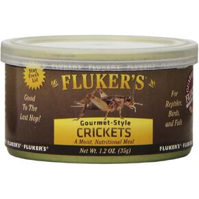 Fluker's Gourmet-Style Insect Mix for Lizards and Reptiles - 2.75oz in Kuwait