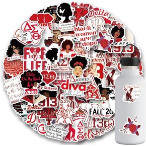 100pcs Delta Sigma theta نادي نسائي ، ملصقات فينيل مقاومة للماء جمالية لطيفة لزجاجات المياه المحمول للدراجة التزلج على الجليد. الديكور DIY كما