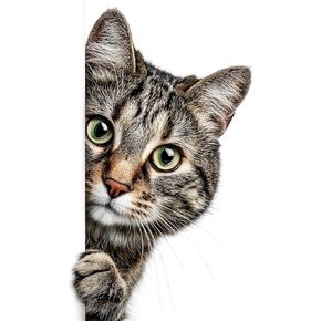 مجموعات غرز متقاطعة مختومة للبالغين كتاب تخليص الفطر 14CT مجموعات غرز متقاطعة مطبوعة مسبقًا للمبتدئين (الكتب السحرية والفطر) in Kuwait