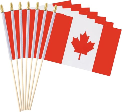 12 Pack French Flags on Sticks France Small Mini Hand Held Flags for Office Classroom Holiday Party Decorations in Saudi Arabia