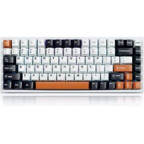MOLGRIA G84 Compact Mechanical Keyboard, Hot-Swappable RGB Backlit USB-C Bluetooth 2.4G Wireless Connected Gasket Keyboard for Office and Home (Main Blue)