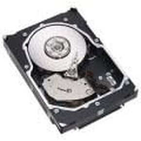 9FL066-150 Seagate 300GB 15K RPM Form Factor 3.5 Inches Hot Swap
