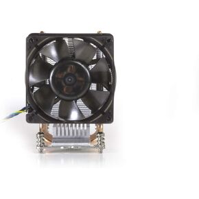 Dynatron 242290 Fn A19 Amd Socket Am4 80x80x38mm Fan For 3u Server And Up Brown Box