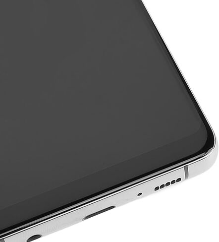 LCD Screen Replacement for Galaxy S10 Plus SM-G975F/DS SM-G975U G975W G975A, 6.4 inch Touch Screen Display Digitizer Assembly Kit with Frame and Fingerprint (Silver) in Saudi Arabia