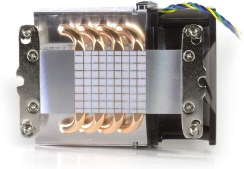 Dynatron 242290 FN A19 AMD Socket AM4 80X80X38MM مروحة لخادم 3U ومربعًا بنيًا لأعلى in Kuwait