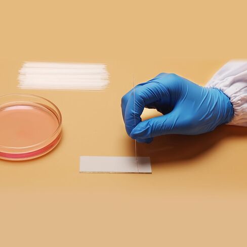Capillary Tubes, 100 mm Micro Glass Capillary Tubes 1000 Pack Glass Pipettes Capillary Transfer Tube with 0.3 mm ID and 0.5 mm OD for TLC Spotting Lab Capillary Tubes in Saudi Arabia