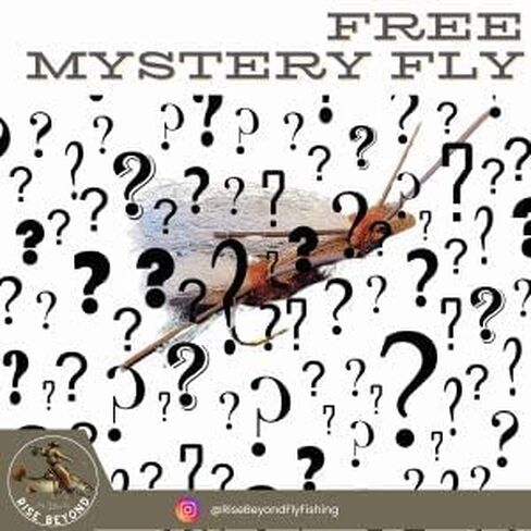 يطير Chubby Chernobyl Hopper من Rise Beyond Fly Fishing - الذباب الأرضي لصيد الأسماك - ذباب النطاط الصيفي - ذباب قطب النطاط in Kuwait