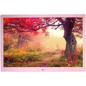 Digital Photo Frame Multi-Function Video Recorder Advertising Player Photo HD 10-inch(Silver)
