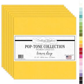 ورق بطاقات العنب بنفسجي فاتح - 12 × 12 بوصة 45.3 كجم. غطاء ثقيل الوزن - 25 ورقة من متجر Cardstock Warehouse in Kuwait