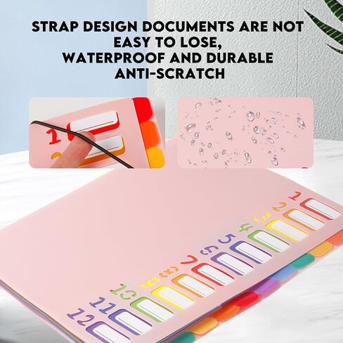 24 Pockets Expanding File Folder Organizer,Accordion File Organizer,A4 Letter Size,Rainbow Tab, for Home/Office/School Document Organizer (Black) in Saudi Arabia