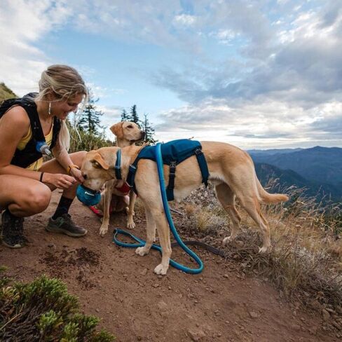 Ruffwear، سرج Switchbak للكلاب، حزمة وتسخير هجين للرحلات اليومية والاستخدام اليومي، سماق أحمر، متوسط in Kuwait