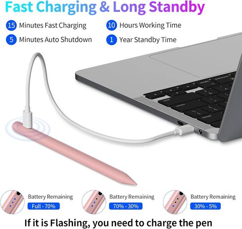 Stylus Pen for iPad, Fast Charging Pencil for Apple iPad with Palm Rejection, Tilt Sensitivity, Work for iPad Air 3/4/5, iPad Mini 5/6, iPad 6/7/8/9/10, iPad Pro 11" and 12.9", Austere Black in Saudi Arabia