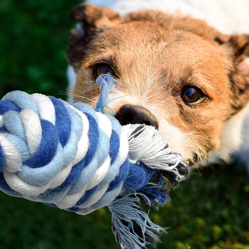TwoEar Dog Rope Toy 4 Pack - Puppy Teething Toys for Small Breed in Saudi Arabia