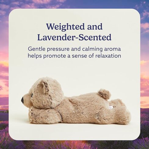 حيوان محشو دافئ دافئ من براون بير وارميز برائحة اللافندر in Kuwait