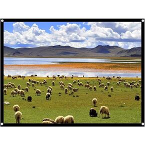 Portable Projection Screen, 4:3 Foldable Noncrease Movies Screens White Projector Curtain for Home Theater Conference Outdoor Camping(60in)