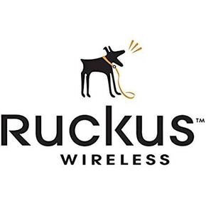 Ruckus 901-T301-US51 ZoneFlex T301s Outdoor Dual Band Wireless Access Poin (Renewed)