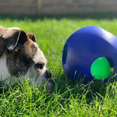 Jolly Pets Teaser Ball - 6 in. in Saudi Arabia