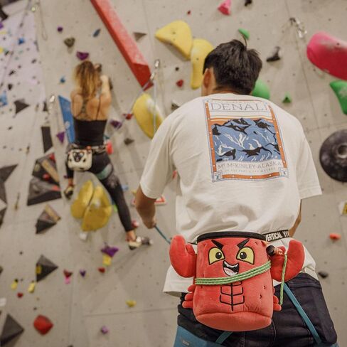 YYVertical | Chalkbag Dinosaur for Rock Climbing (Blue Triceratop) in Saudi Arabia