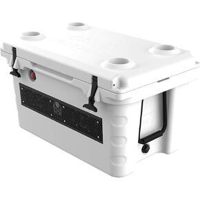 Wet Sounds Stealth SHIVR55 High Output Audio Cooler Speaker System - White (Renewed)