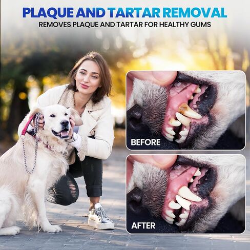 RadPet Advanced Dental Hygiene Kit for Cats & Dogs - Complete Oral Care with Toothbrush, Enzymatic Toothpaste, Dental Wipes, & Water Additive Vet Formulated Pet Toothpaste Kit in Saudi Arabia