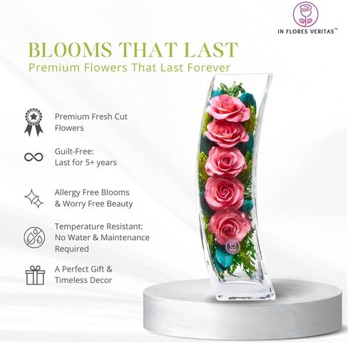 In Flores Veritas | Fresh Cut Preserved Roses in a Sealed Glass Vase | Long Lasting Bouquet Stays Fresh for 5+ Years | No Water Needed | Allergy Free | Unique Present Gift (Radiant Red) in Saudi Arabia