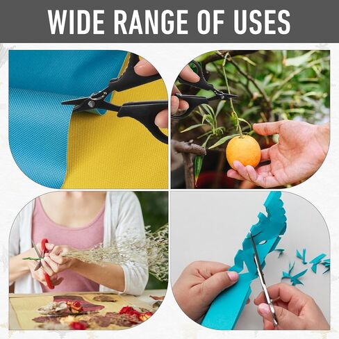 3 Pieces Fishing Scissors, Portable Stainless Steel Fishing Braided Line Cutter Titanium Coating with Hook and Retractable Coil Lanyards Fish Accessories Gift in Kuwait