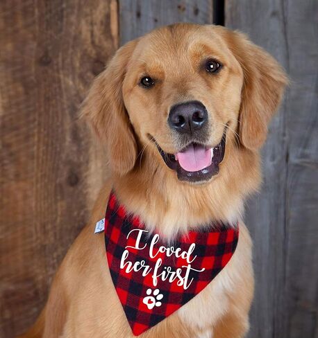 family Kitchen Soon to Be Sister Red Plaid Girl Dog Bandana, Pregnancy Announcement Dog Bandana, Gender Reveal Pet Dog Scarf Bibs Accessories in Kuwait