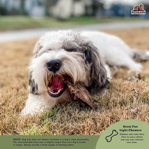 Redbarn All-Natural Lamb Lung Filets for Dogs - Premium Grain-Free Single Ingredient Dental Treats - Made in USA with No Artificial Ingredients - 10 oz Bag in Saudi Arabia