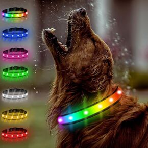 Light Up Collar - Rechargeable Multicolor LED Dog Collar with 1,000 Ft Visibility, Waterproof Glow in Dark for Night Walking (Black, L)
