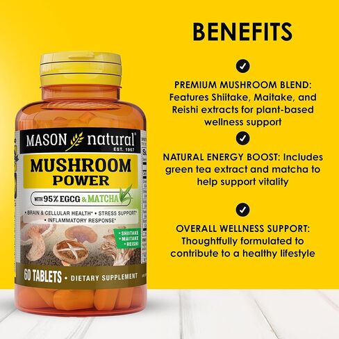 MASON NATURAL Mushroom Power with 95% EGCG & Matcha - for Optimal Wellness, Stress Support and Healthy Inflammatory Response, 60 Plant Based Tablets in Saudi Arabia